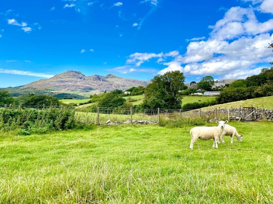 Apartamento The Walkers' Cwtch Ffestiniog Exterior foto
